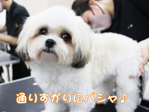 ☆カメラ目線特集☆